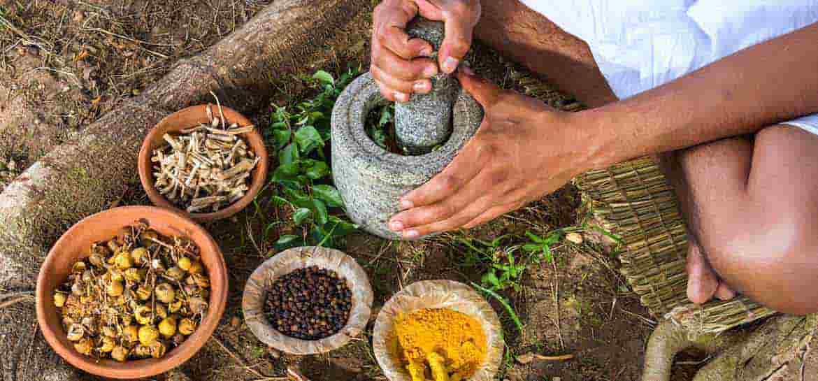 Ayurveda Course in India аюрведа курсы в Индии
